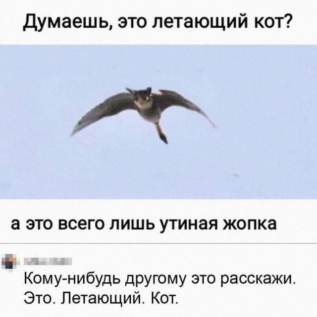 Немного забавных картинок 27.07.24