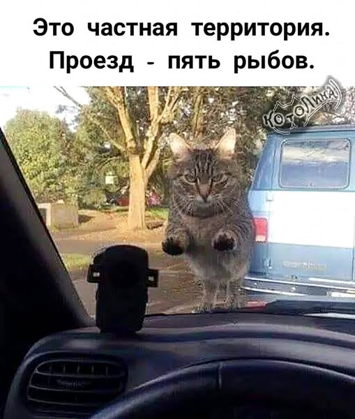 Завалялось тут случайно немного забавных картинок
