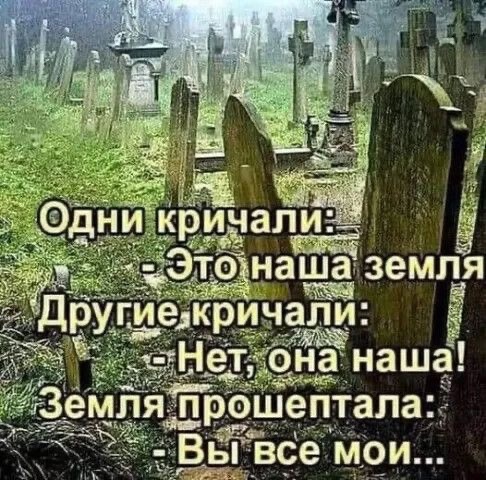 Так себе картинки 16.02.25