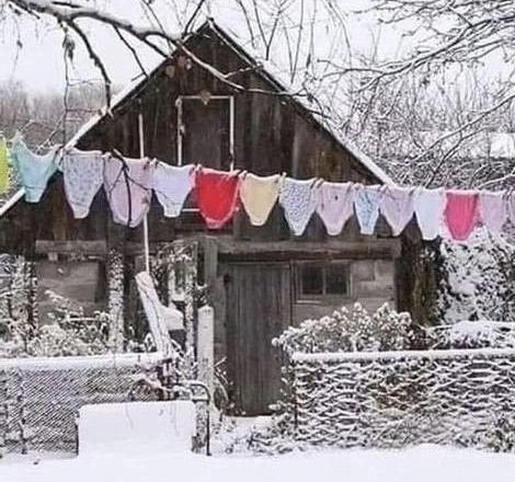 О главном на сегодня.