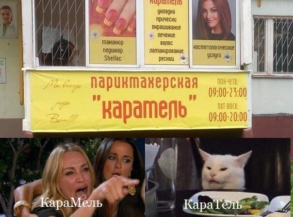 Знаменитый кот
