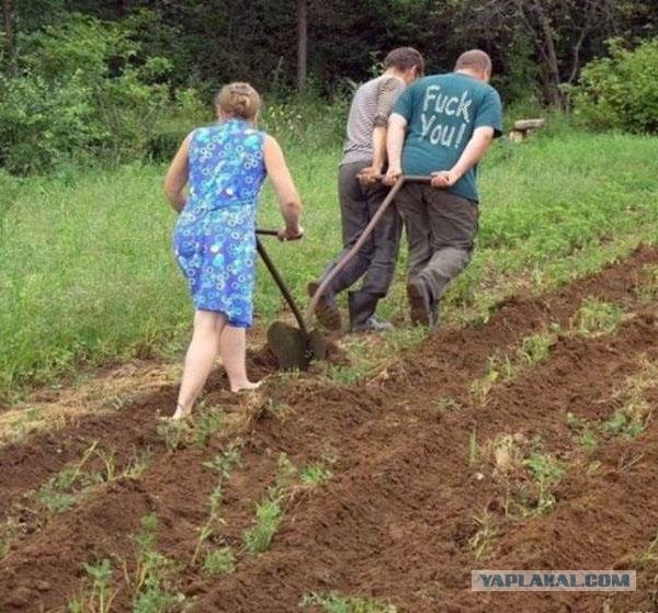 Знаменитейшие трио!