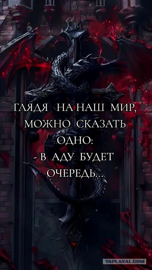Так себе картинки 13.12.25