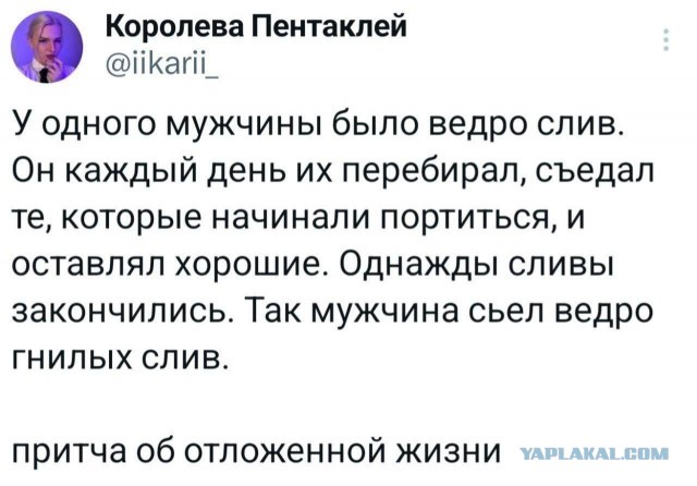 Картинки для деградации 146 (разной степени свежести)