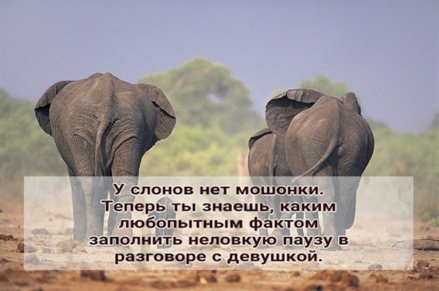 Чужих детей не бывает