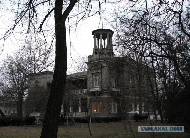Прогулка по   весенней Одессе