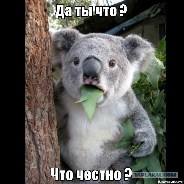 Wargaming 10