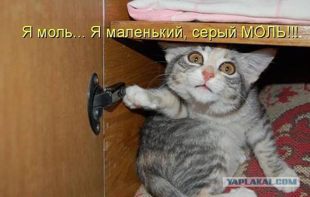 Поднимаем настроение