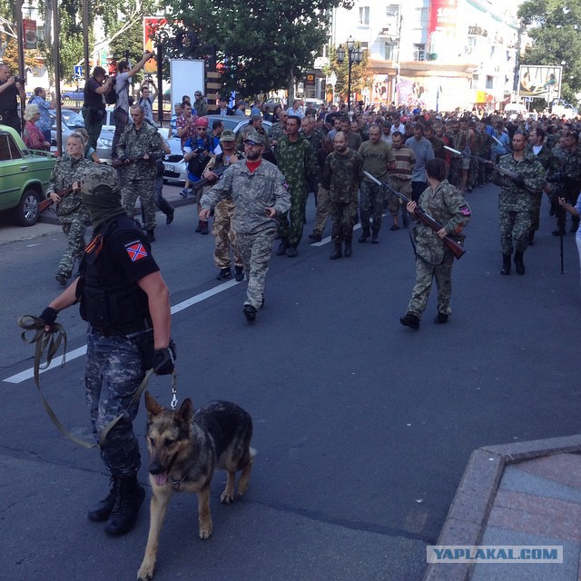 Марш пленных в Донецке 24.08.2014