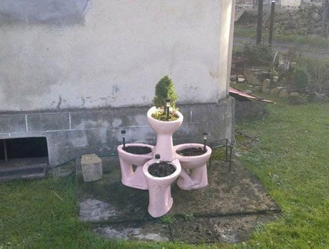 Весёлые картинки