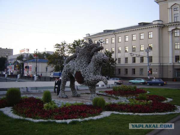 Тамбовский волк тебе товарищ...