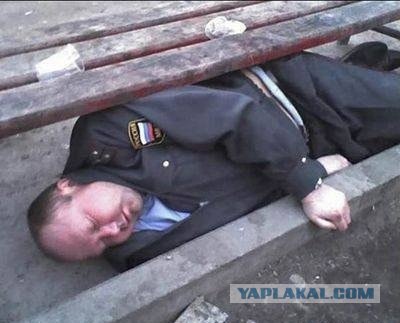 Что сын нашел сегодня в парке