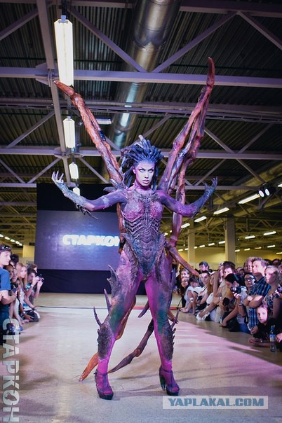 Zerg The Rush