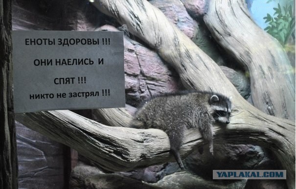 Когда костюм просто выше всяких похвал!