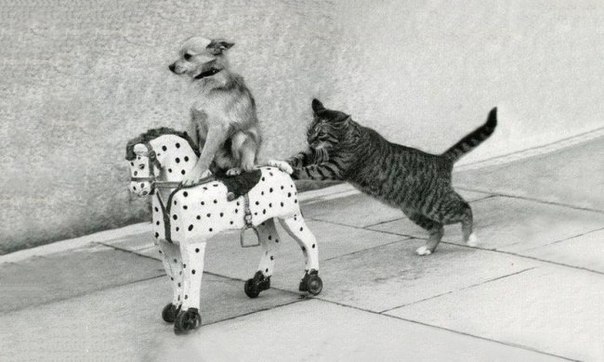 Русские странно воспитывают детей