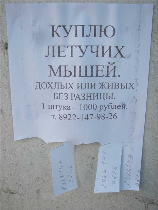 Злые шутки или минутка сарказма на ЯП-е, 16+