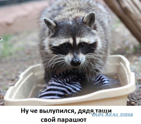 Где можно постирать парашют?