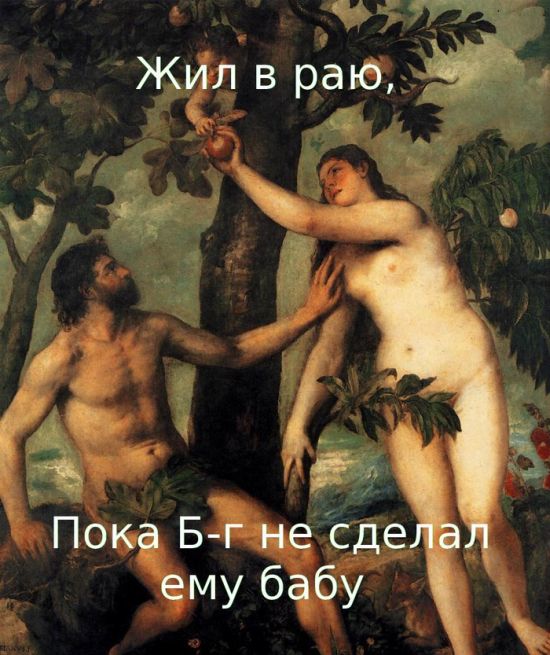20 наглядных примеров до чего доводят женщины