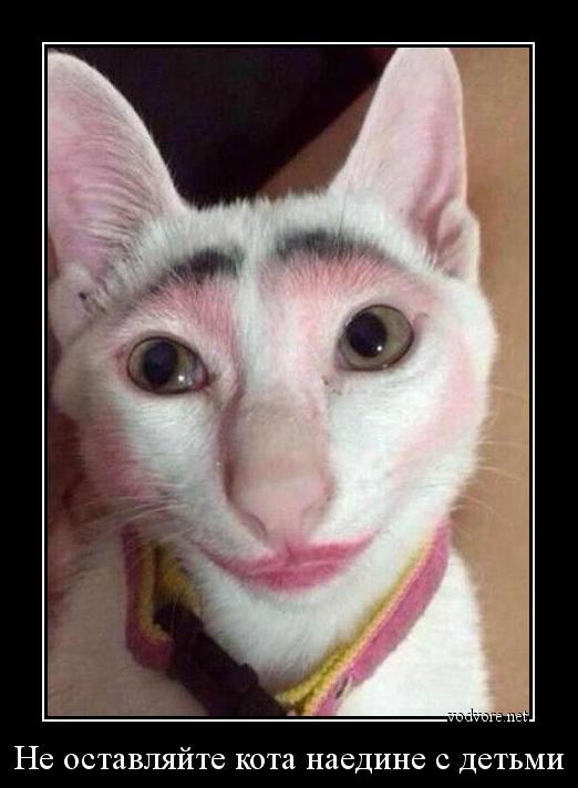 Демы без Темы