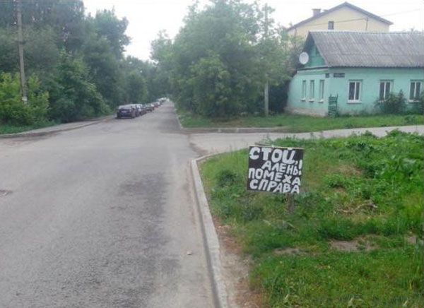 Подборка интересных и веселых картинок