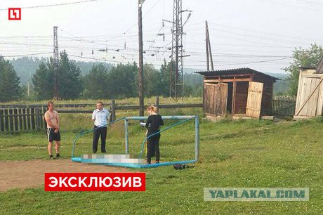 Повседневные вещи, которые являются более смертоносными, чем акулы