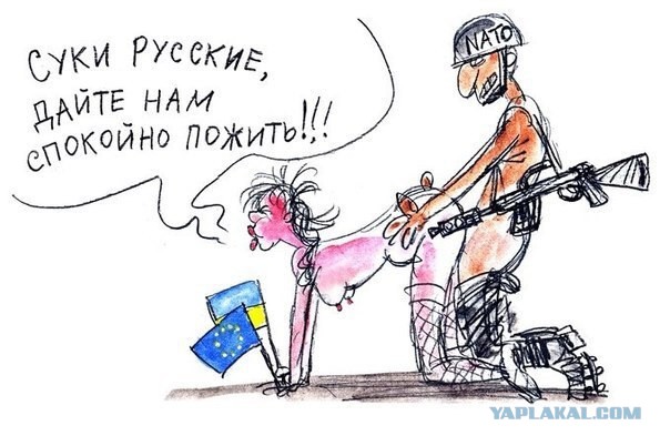 США недовольны Киевом и готовы "передать Украину" ЕС или России