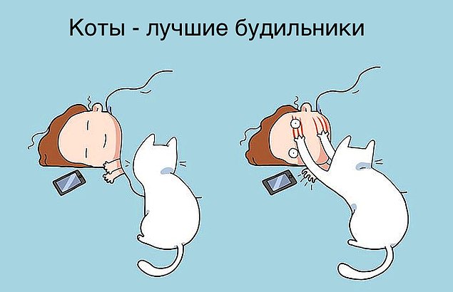 Комиксы, показывающие, что значит жизнь с котом