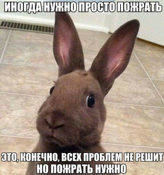 Просто юмор 22