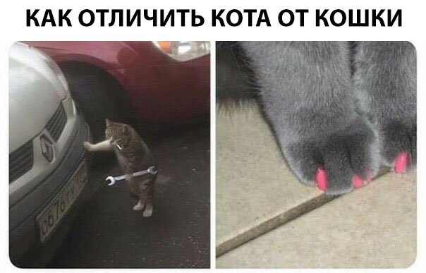 Нестандартный юмор