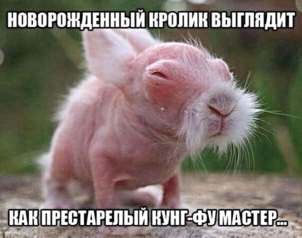 Жемчужина иблейской кухни