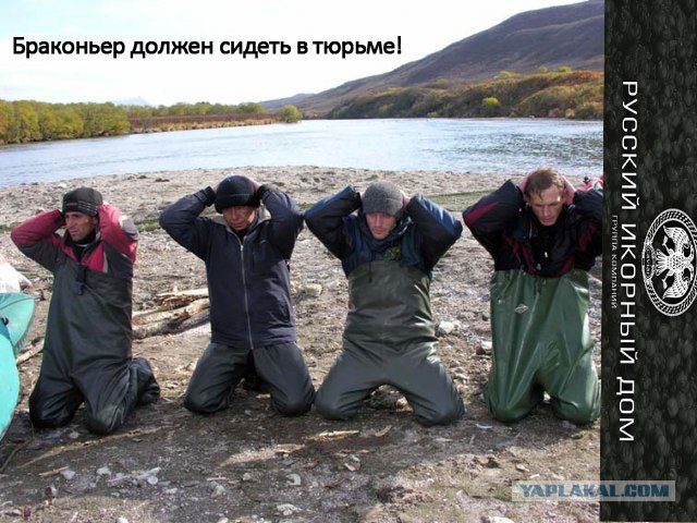 Конкурс на лучшую фотожабу против браконьеров.