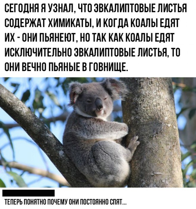 Комментарии к постам в разных группах