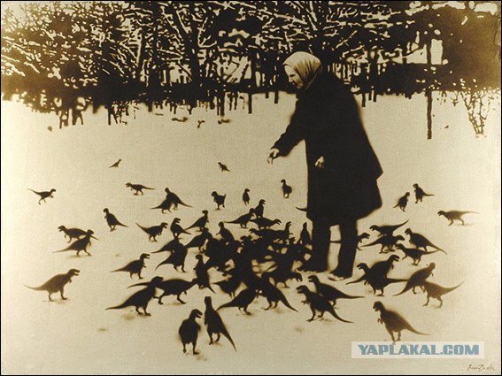 20 фотографий, на которых явно что-то не так. Угадаешь?