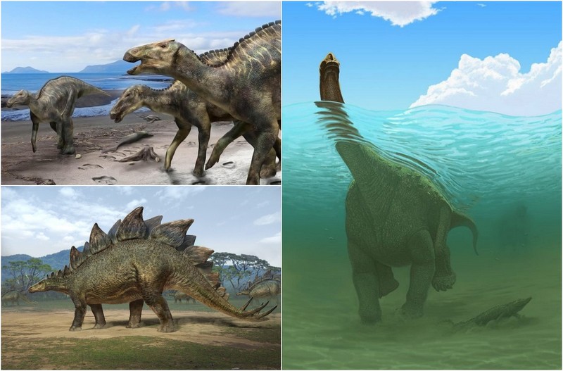 На какой территории жили динозавры. Динозавры Евразии. Динозавры жившие в России. Динозавры которые жили в России. Динозавры которые жили на территории России.