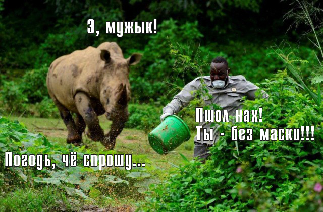 Подборка интересных и веселых картинок 26.04.20