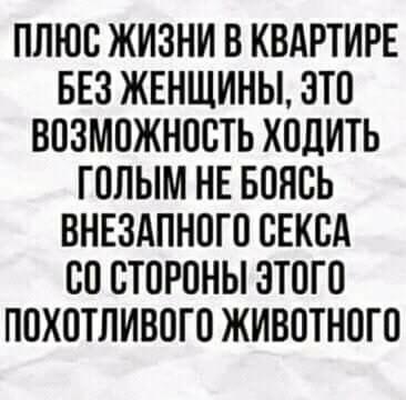 Мужчины сами виноваты в низком качестве современных женщин!