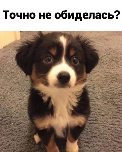Немного картинок для настроения 16.11.20