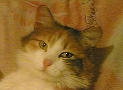 Я не люблю собак