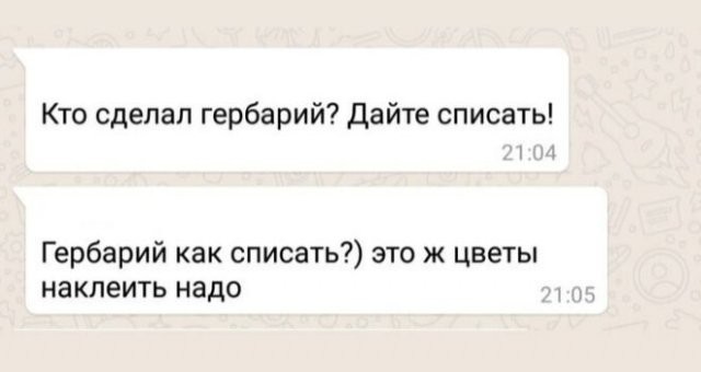 Немного о родительских чатах (в картинках)