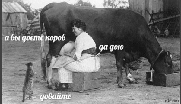 Картинки и мемы для настроения 04.08.2021