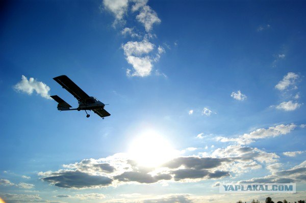 Осень в банках