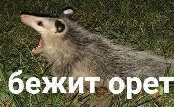 Стрим пошел не по плану.