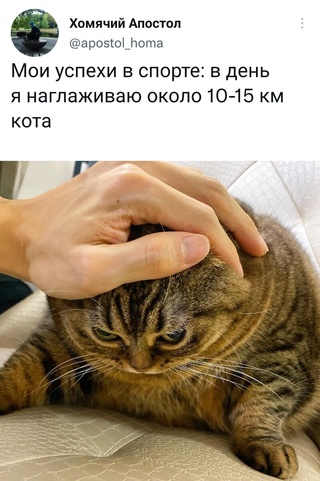 Картинки и мемы для настроения - 119