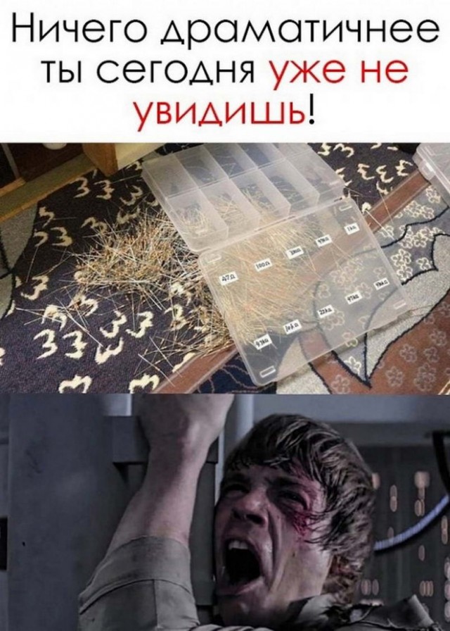 Картинки и мемы, всем хороших выходных