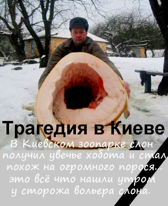 Пошлость, шутки, два ствола