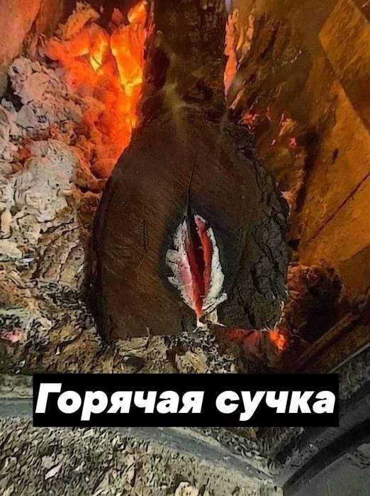 Весёлый полтишок 30.07.23
