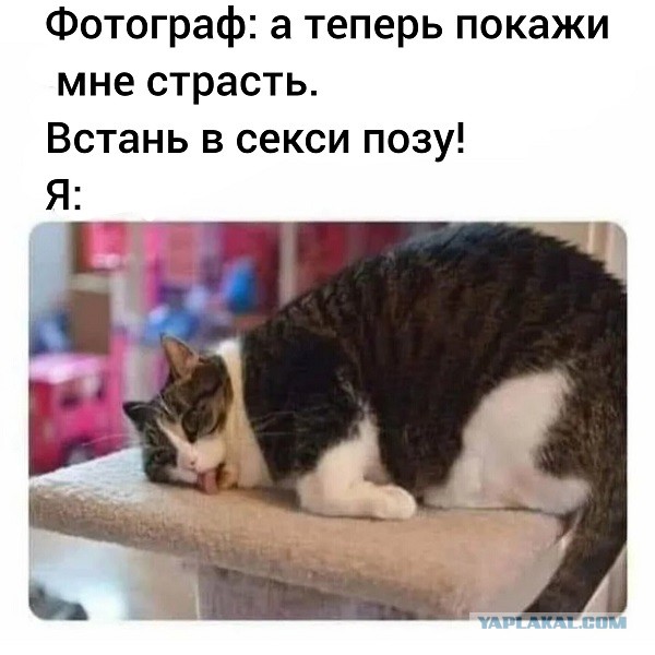 "Вагинальный лифт" - самый простой женский способ, чтобы состояться в жизни
