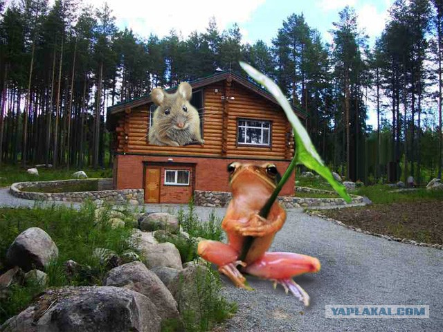 Под зонтом!