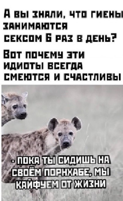 Картинки разные с надписями и без
