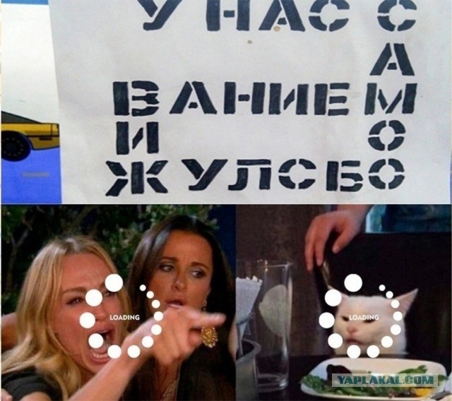 Веселые картинки к пятнице (18.10)